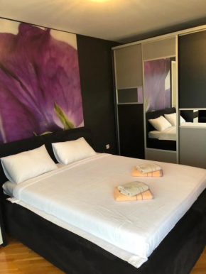 Apartman Ćesko